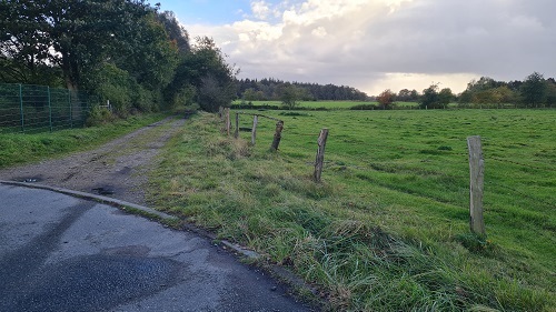 Moorkaten
