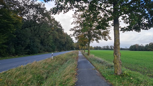 Moorkaten