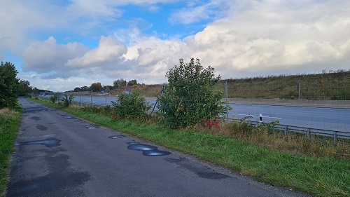Moorkaten