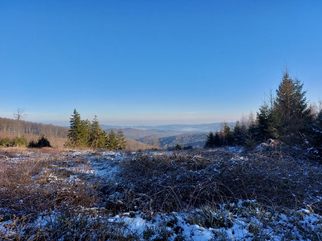 berg