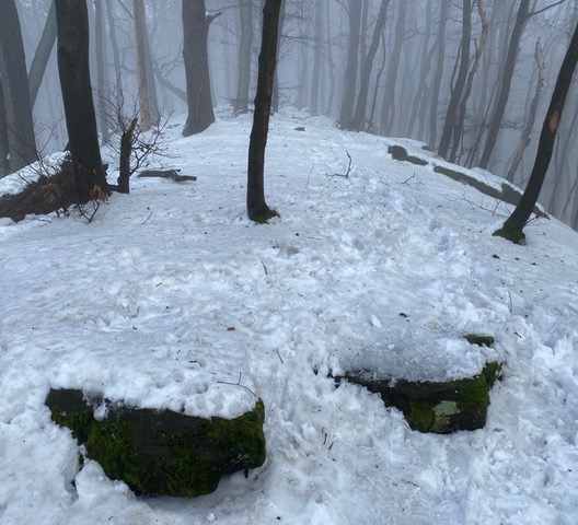 Schnee