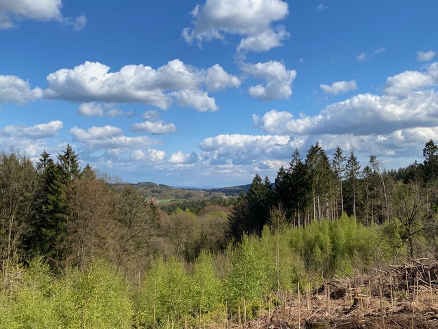 Borgberg