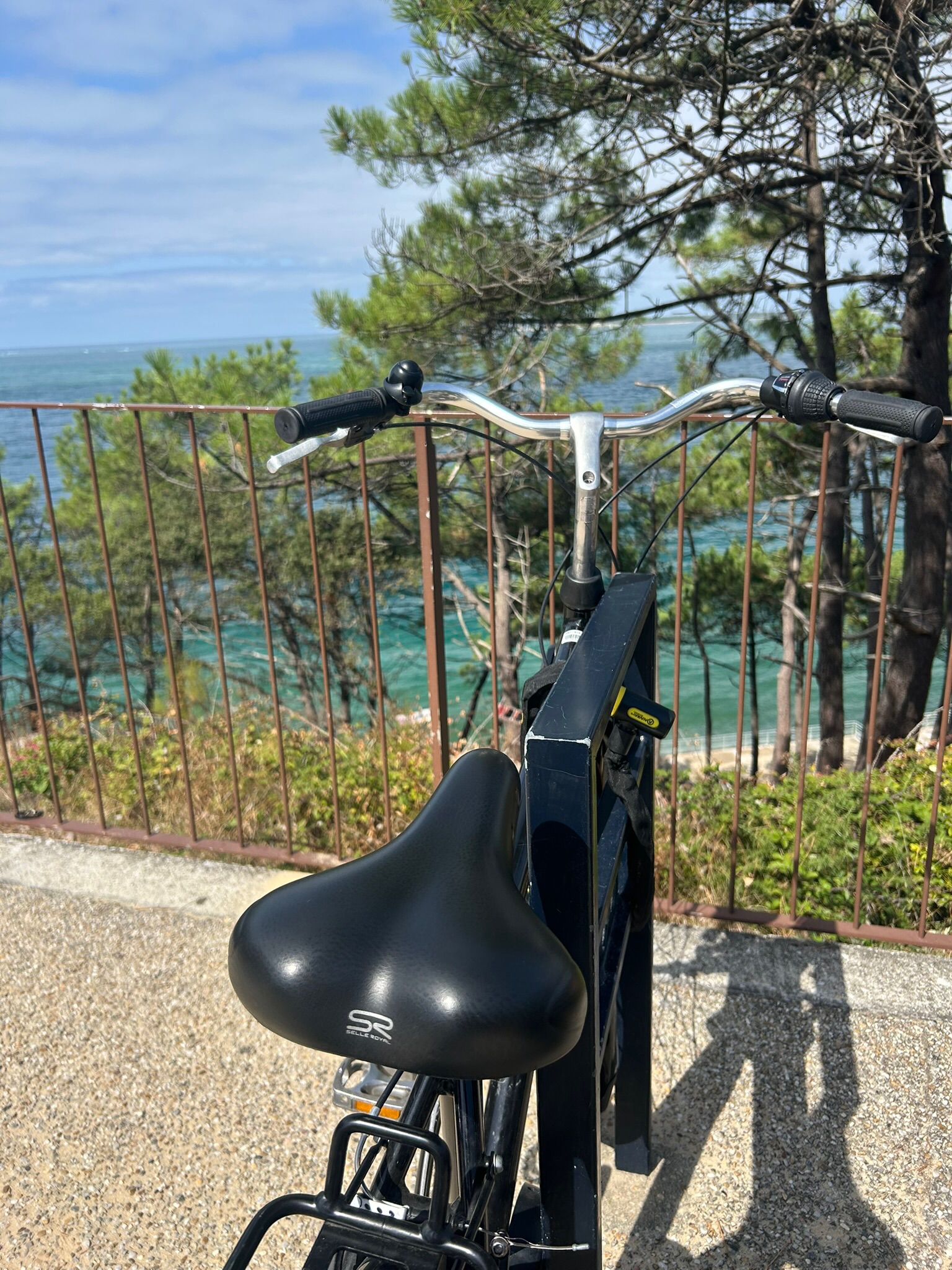 Fahrrad