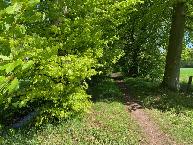 Votlage